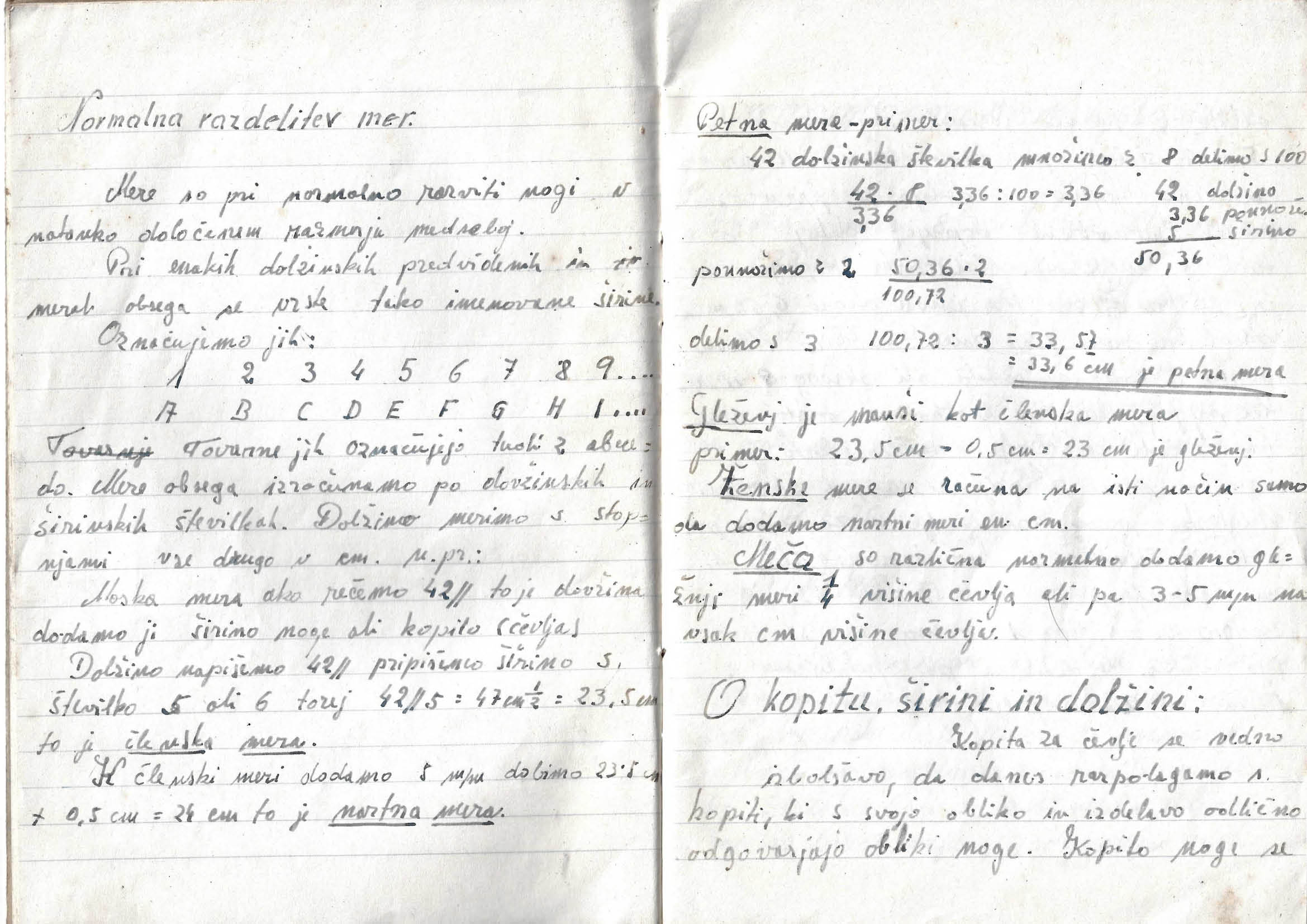 Tehnologija čevlja III